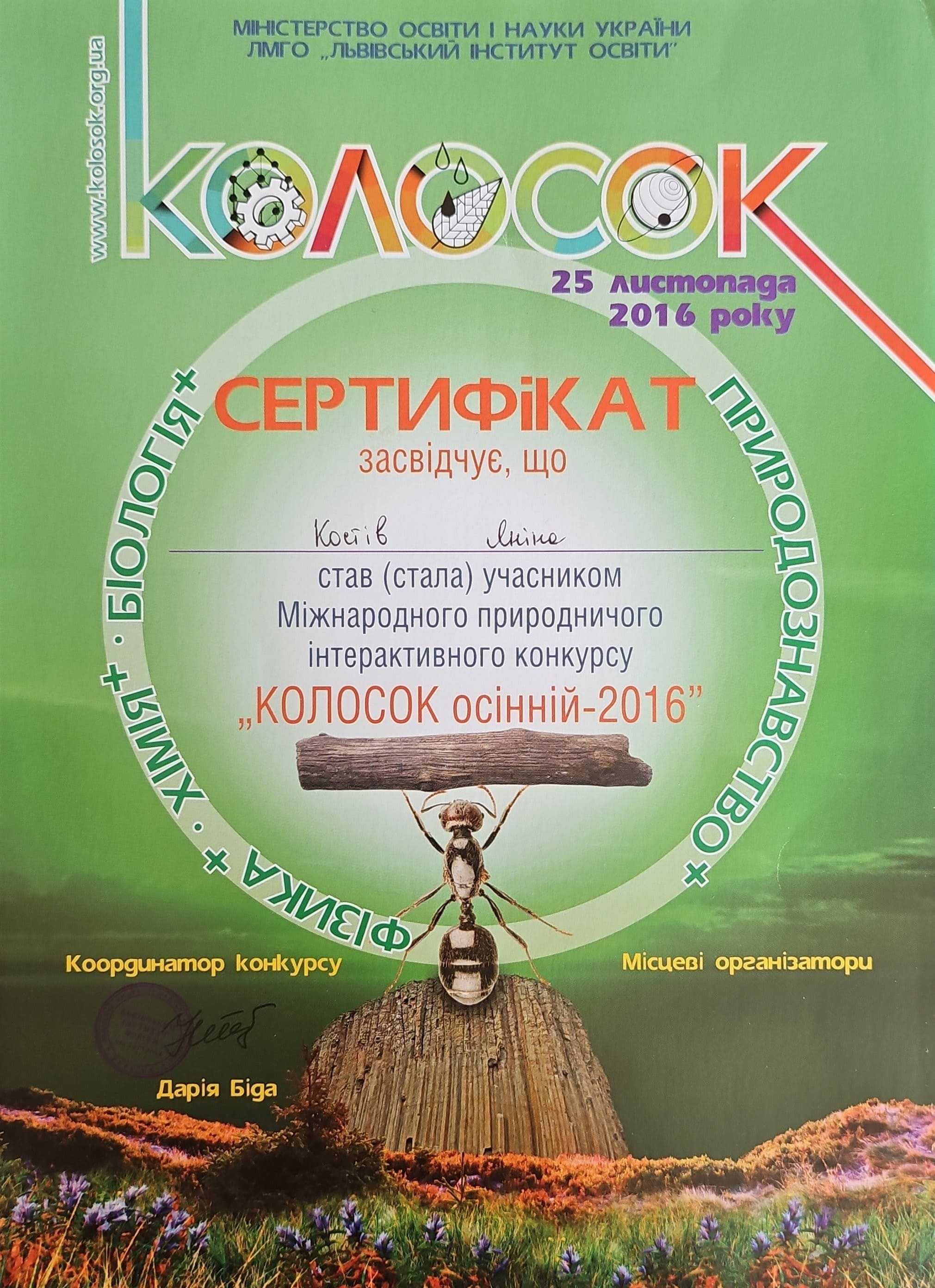 Шестой класс Колосок